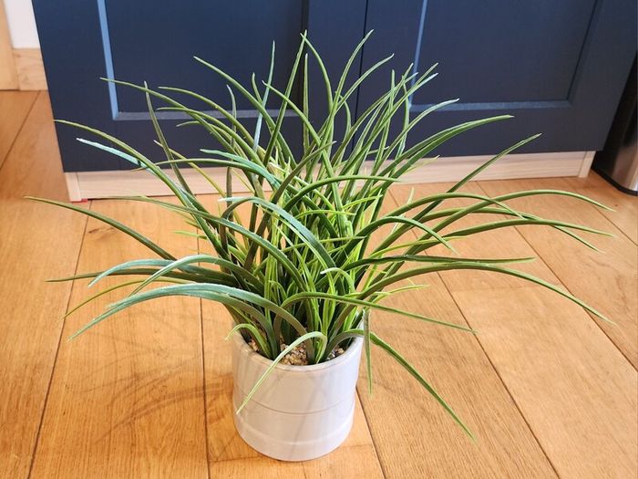 Artificial Grass Plant in Ceramic Pot - 40cm