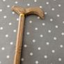 Walking Stick Image 3
