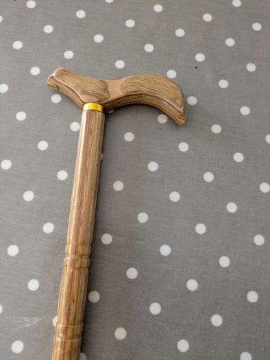 Walking Stick