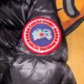 canada goose wyndm Image 2