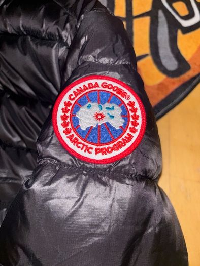 canada goose wyndm