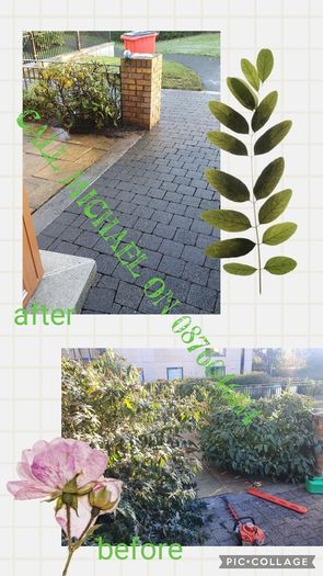 Garden maintenance