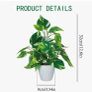 Artificial plants x3 Image 5
