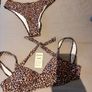 Bikini Image 2