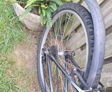 Mountain bike