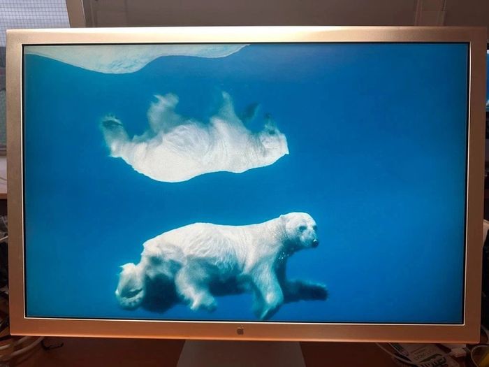 Apple Cinema Display 30-inch A1083 AD196