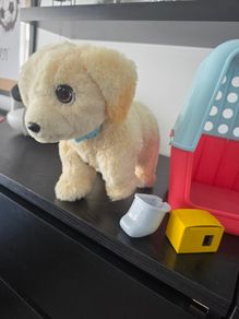 Toys dog