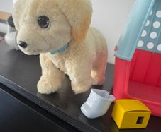 Toys dog