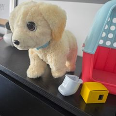 Toys dog