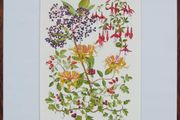 Print of a watercolour painting of berries and flowers