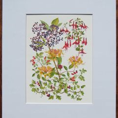 Print of a watercolour painting of berries and flowers