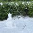 Sarajones