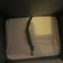Dog carrier Image 5