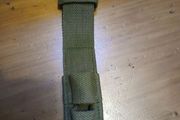 p1907 canvas frog