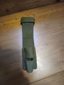 p1907 canvas frog