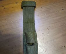 p1907 canvas frog