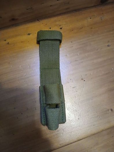 p1907 canvas frog