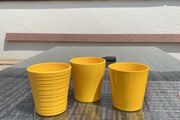 Flower pots