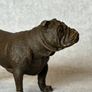 Bulldog - Cold Painted Bronze, Signed Image 6