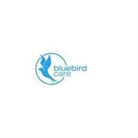 Bluebird Care Dublin South East Jobs in Ireland