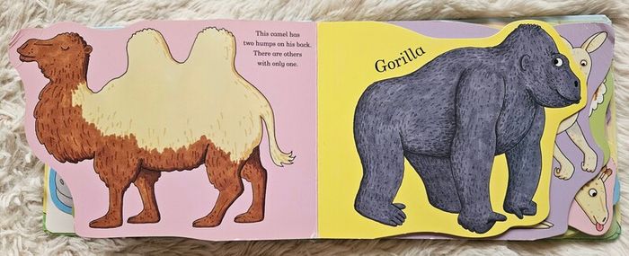 My Zoo by Rod Campbell
