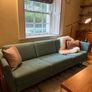 couch Image 5