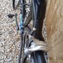 Colnago CLX Image 4