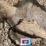 Premium Adidas Ozweego Lightweight Style Image 3