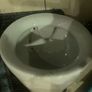 Urinal Image 2