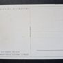 Antique Postcard Hans Schmidt Der Elch (The Moose) Image 2