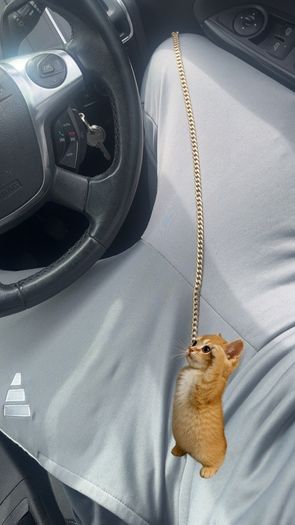 gold chain