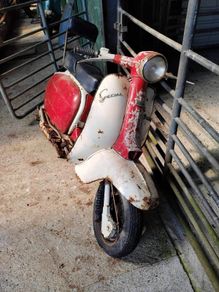 Lambretta