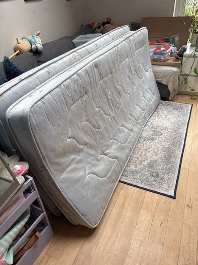 White Bunk Beds