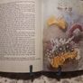 Celtic Tales .Elena Chmelova (Hardback) Image 5