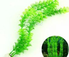 Aquarium decoration