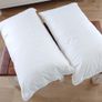 White & Green Luxury down surround pillow set (large) Image 2