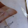 print Image 3