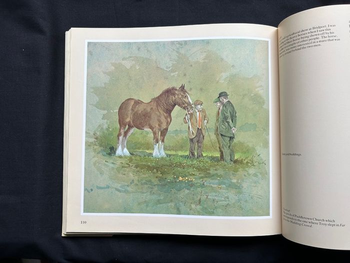 Collectible books