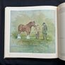 Collectible books Image 4