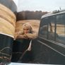 Annie Leibovitz 'Women' Susan Sontag 1st Edition Image 6