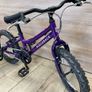 bike Image 5