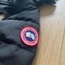 Canada Goose Image 3