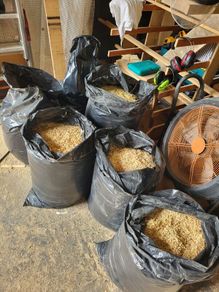 Wood shavings
