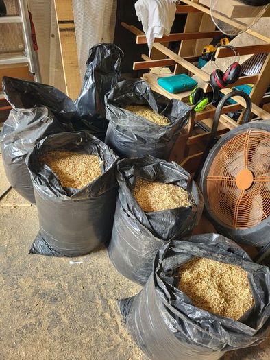 Wood shavings