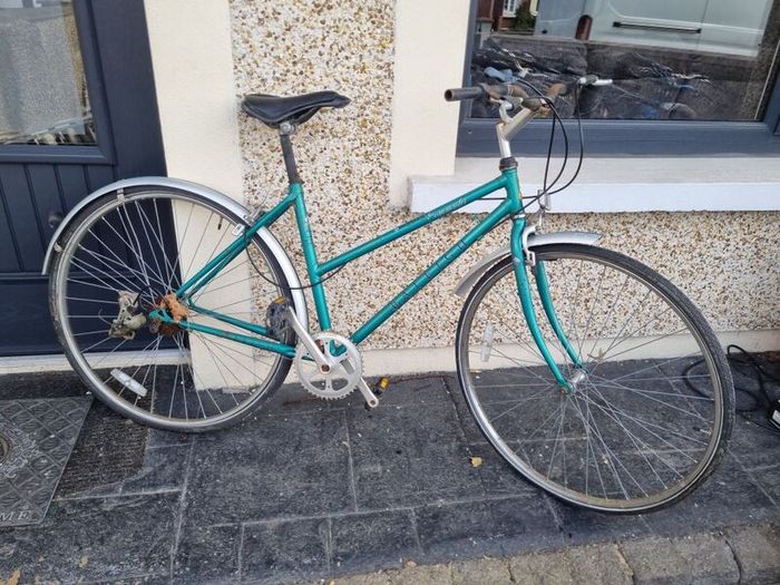 bike needs fixing