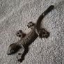 Cast iron geko wall hook. Image 2