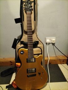 Godin LG LP-Style Gold finish cutaway