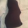 New Dog Cushion Image 3