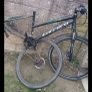 push bike Image 3
