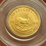 1/10 OZ gold coin Image 2
